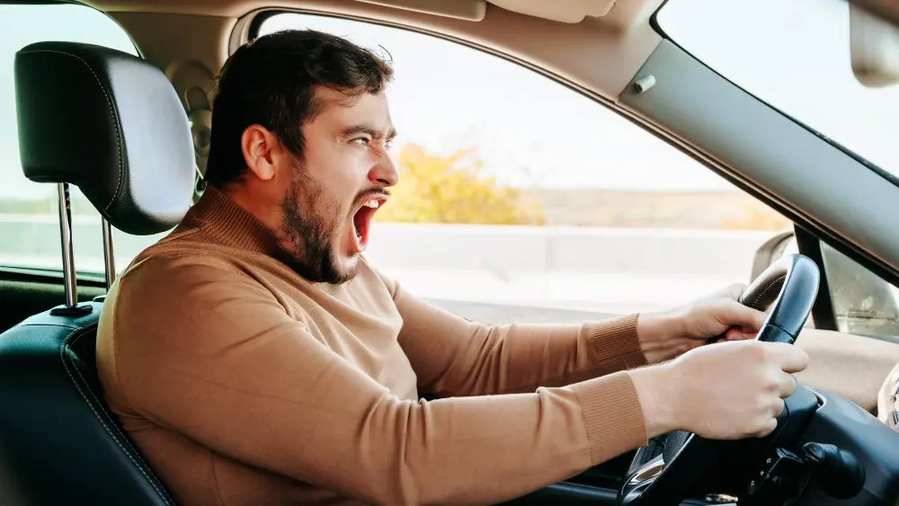 Driver shouting in his car